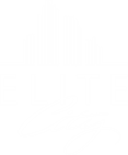 Elite City
